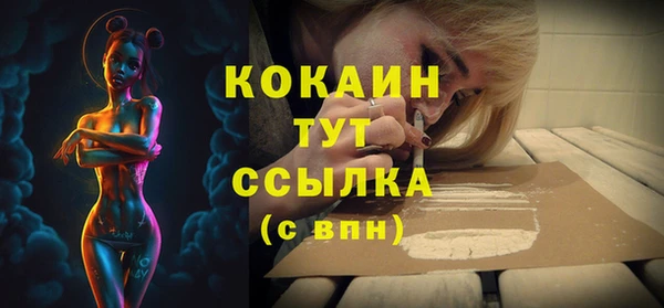 индика Михайловск