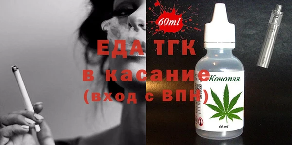 индика Михайловск