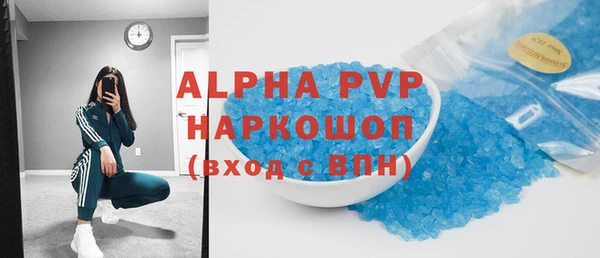 индика Михайловск