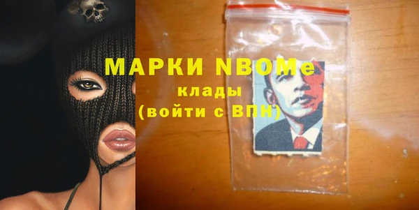 индика Михайловск
