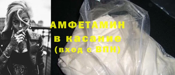 индика Михайловск
