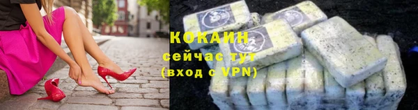 индика Михайловск