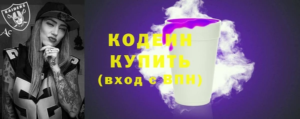 индика Михайловск
