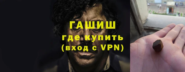индика Михайловск