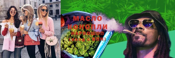 индика Михайловск