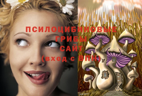 наркотики Михайлов