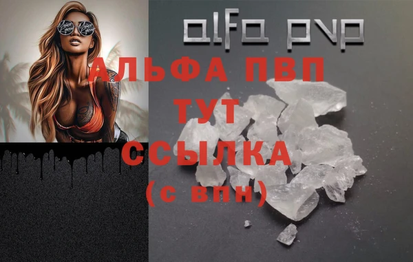 MDMA Тайга