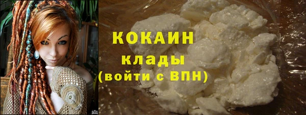 индика Михайловск