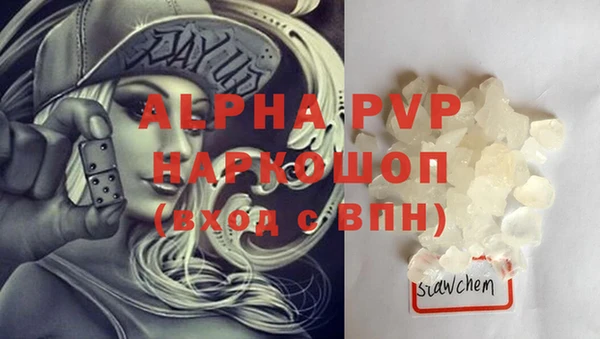 индика Михайловск