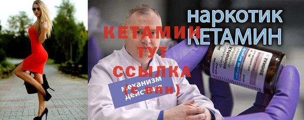 индика Михайловск