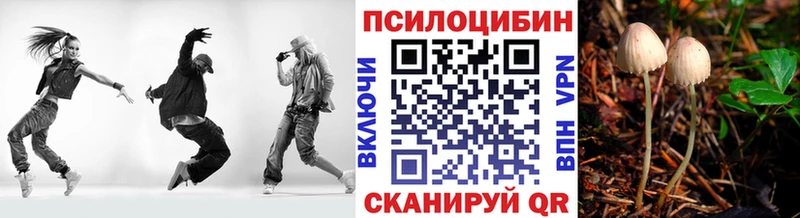 Галлюциногенные грибы Psilocybine cubensis hydra ссылки Геленджик