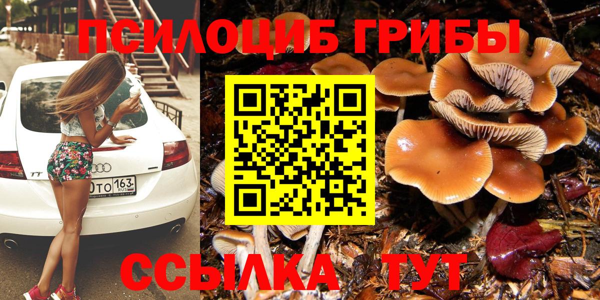 Псилоцибиновые грибы ЛСД Геленджик